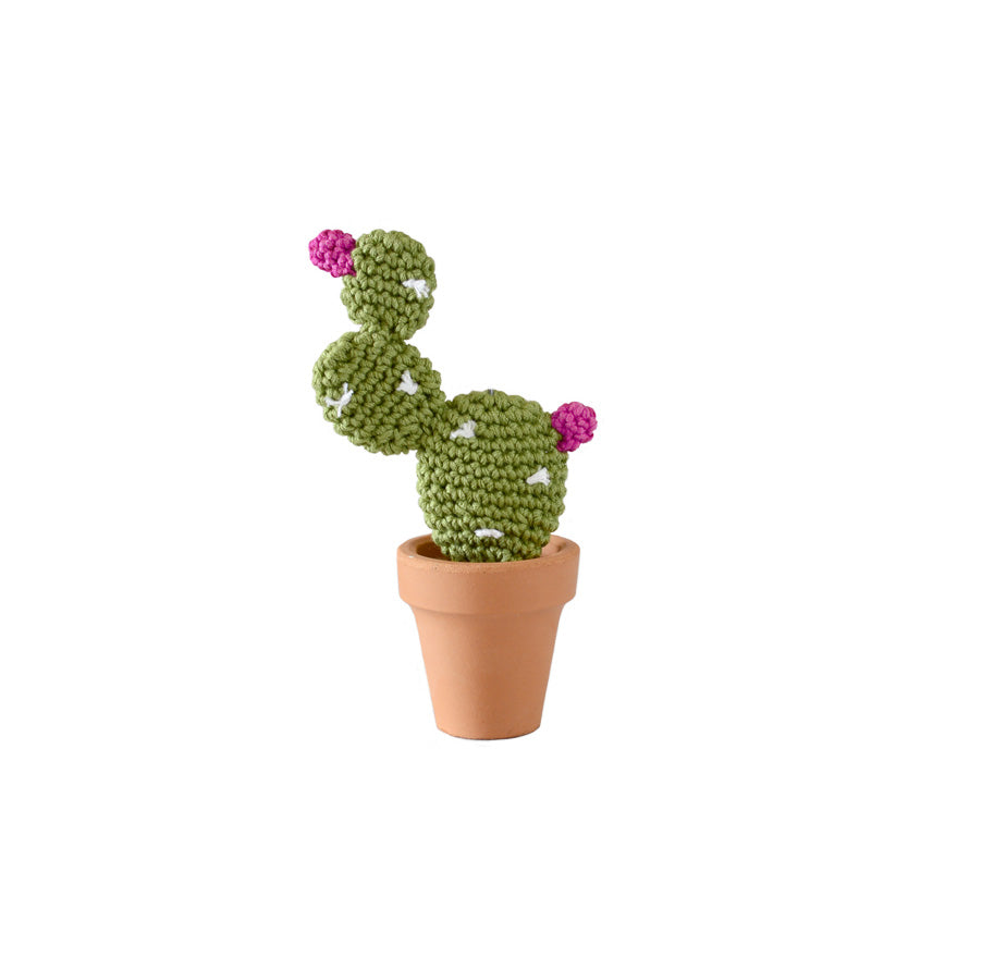 NOPAL CACTUS