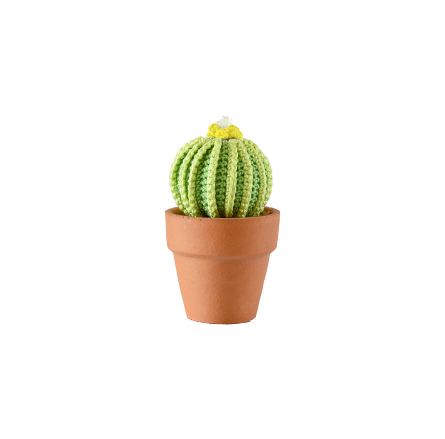 ENCHINO CACTUS